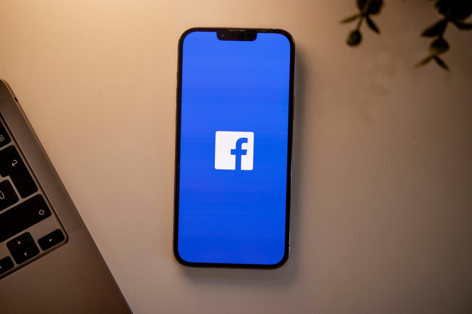 Facebook Ads Agency